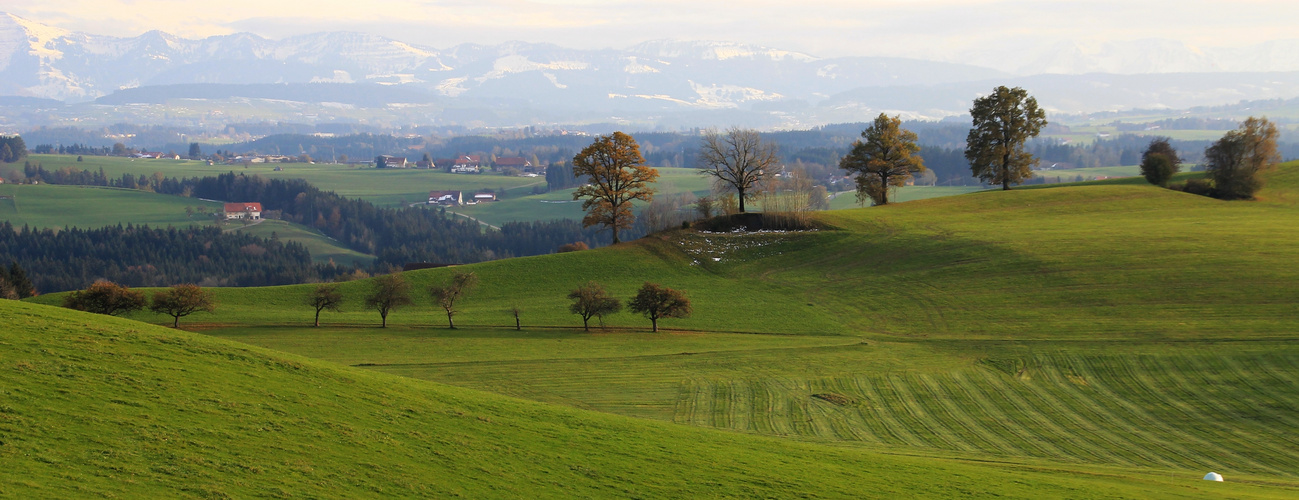 Spätherbst im Allgäuer Voralpenland