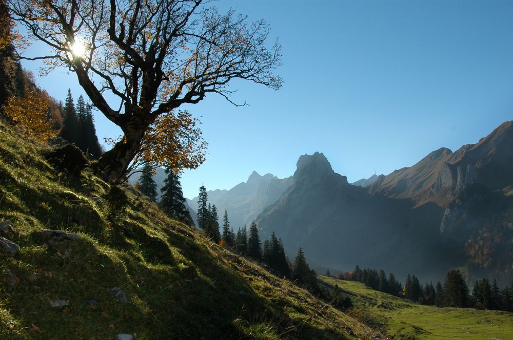 Spätherbst im Alpstein