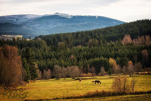 Spätherbst im Bayerischen Wald