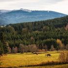 Spätherbst im Bayerischen Wald