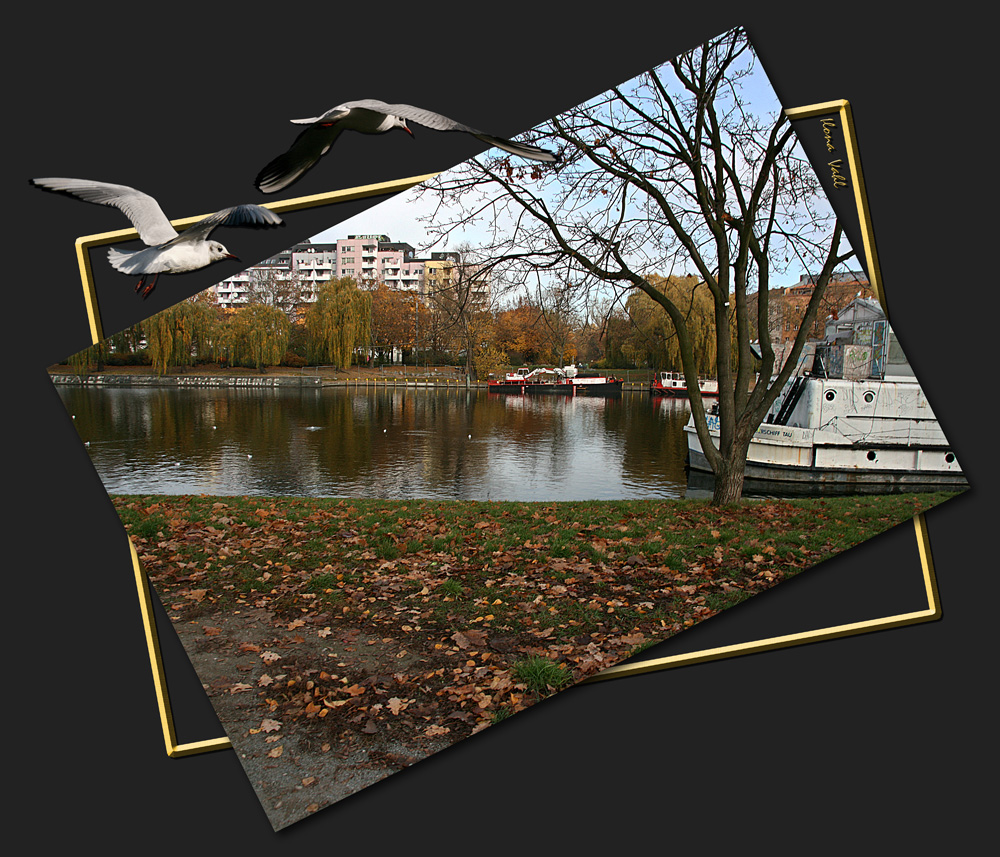 Spätherbst im Böcklerpark