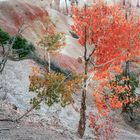 Spätherbst im Bryce Canyon 