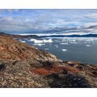 Spätherbst im Eisfjord von Ilulisat