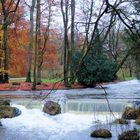 spätherbst im englischen garten münchen 1