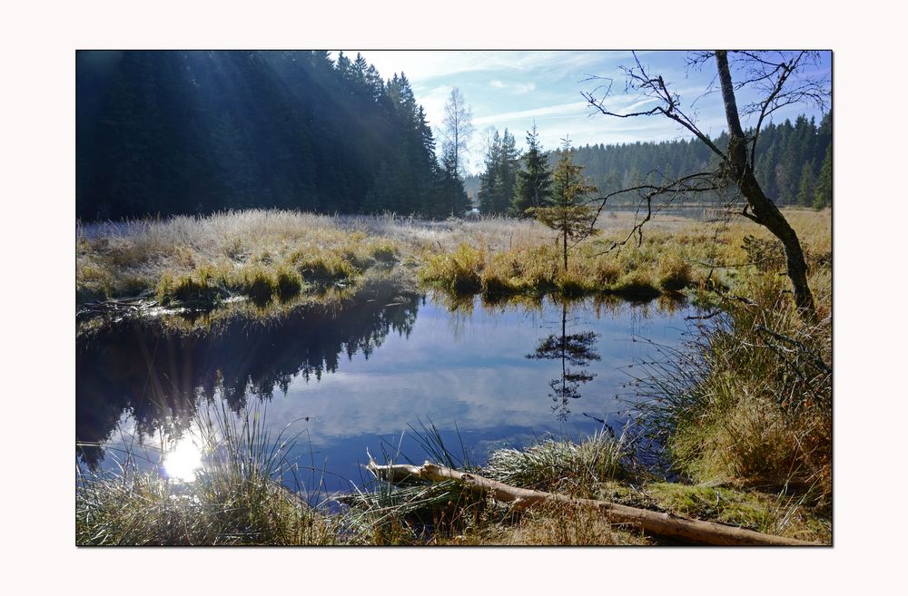 Spätherbst im Fichtelseemoor