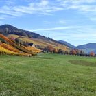 Spätherbst im Glottertal I