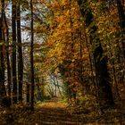 Spätherbst im Markgräflerland