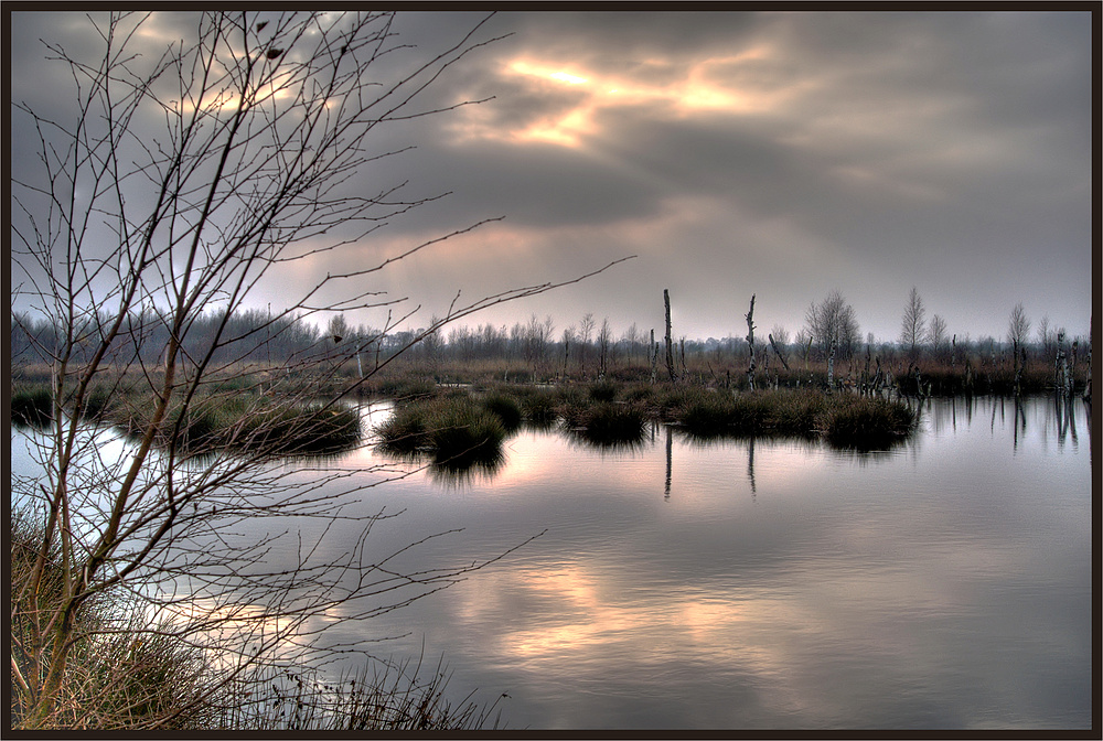 Spätherbst im Moor