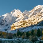 Spätherbst im Morteratschtal, Engadin