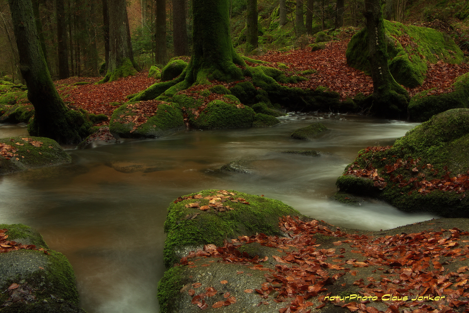 Spätherbst im Otterbachtal.