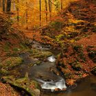 Spätherbst im Prießnitztal