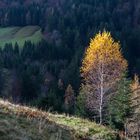 Spätherbst im Salzburger Land