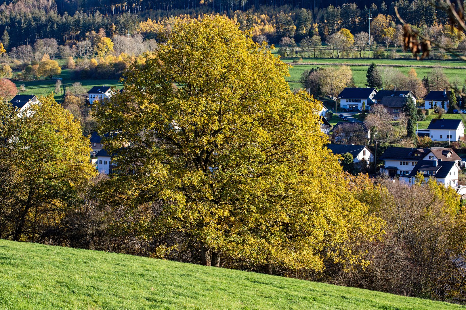 Spätherbst im Sauerland 1