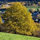 Spätherbst im Sauerland 1