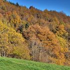 Spätherbst im Sauerland 3