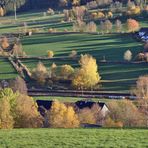 Spätherbst im Sauerland 7 (Kirchhundem-Benolpe)