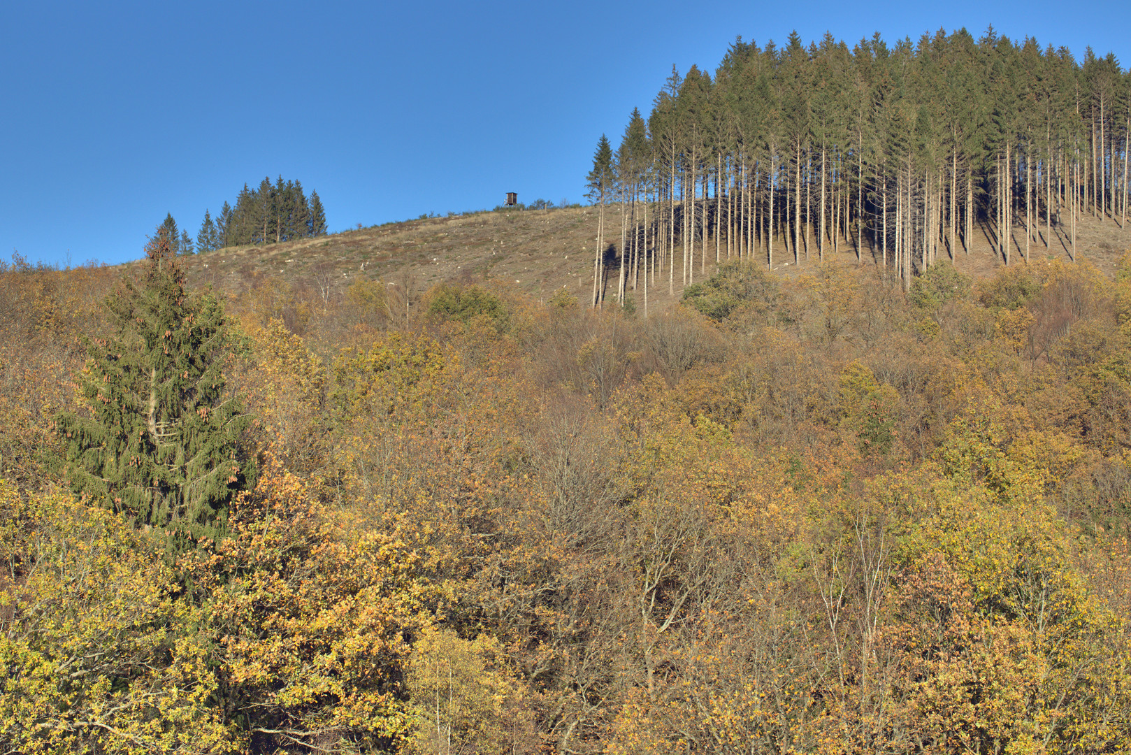 Spätherbst im Sauerland 8