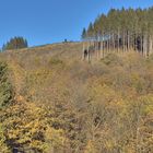 Spätherbst im Sauerland 8