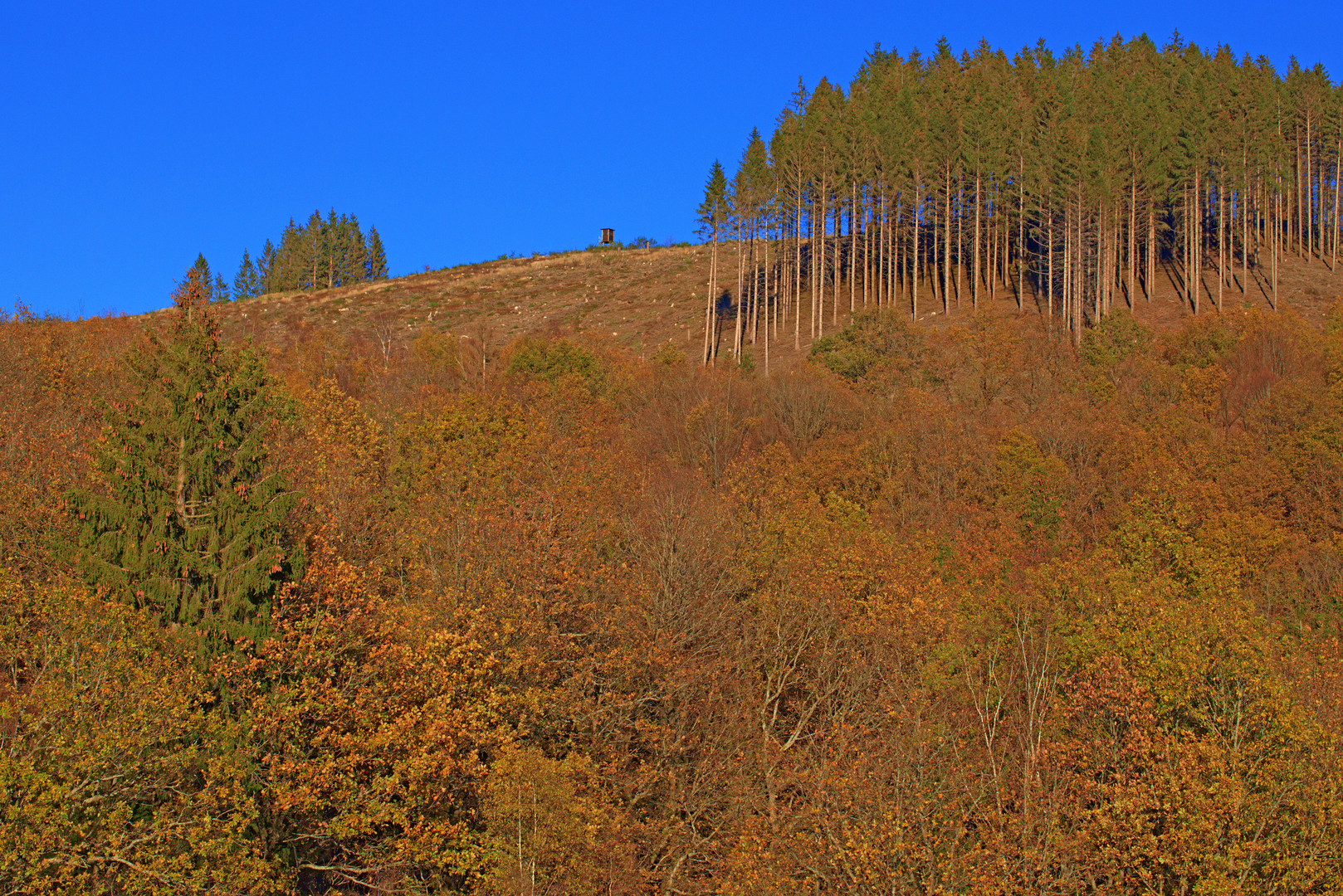 Spätherbst im Sauerland 9 (farbenfroh)