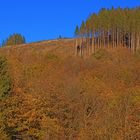 Spätherbst im Sauerland 9 (farbenfroh)