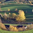 Spätherbst im Sauerland wird weggebeamt und der Winter kommt -:))  (Kirchhundem-Benolpe)