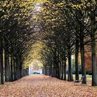 Spätherbst im Schlosspark