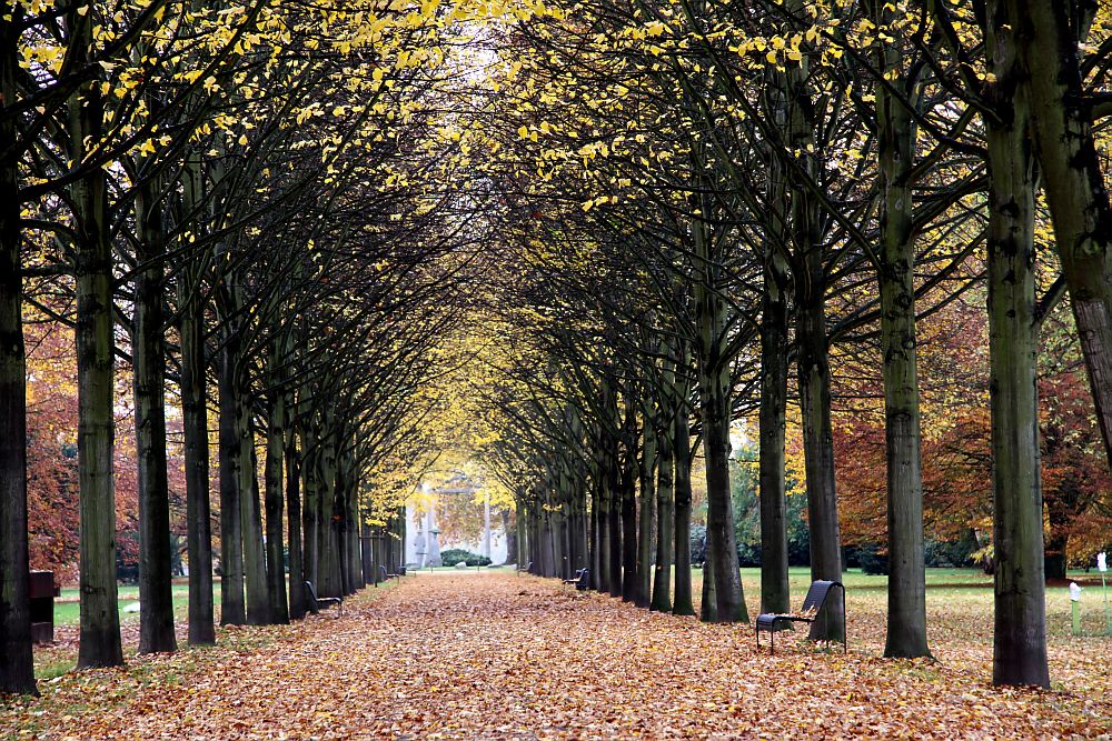 Spätherbst im Schlosspark