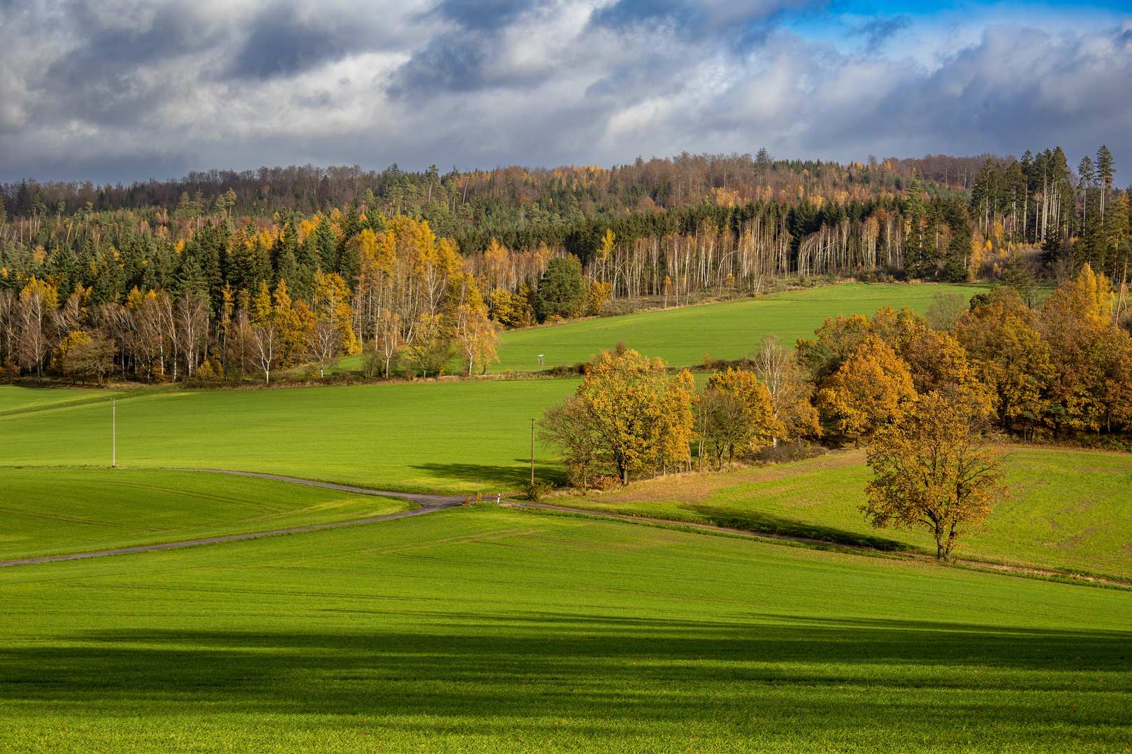 Spätherbst im Solling