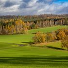 Spätherbst im Solling