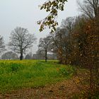 Spätherbst im südlichen Münsterland