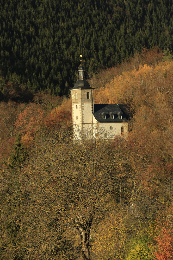 Spätherbst im Thüringer Wald