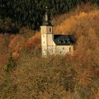 Spätherbst im Thüringer Wald