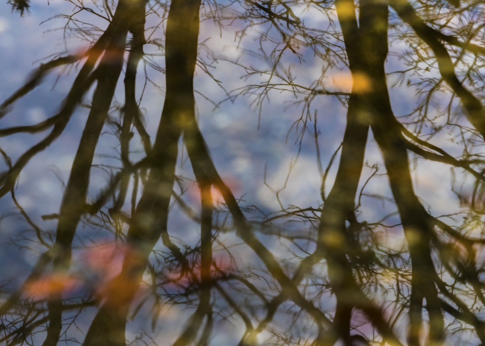 Spätherbst im Wasser