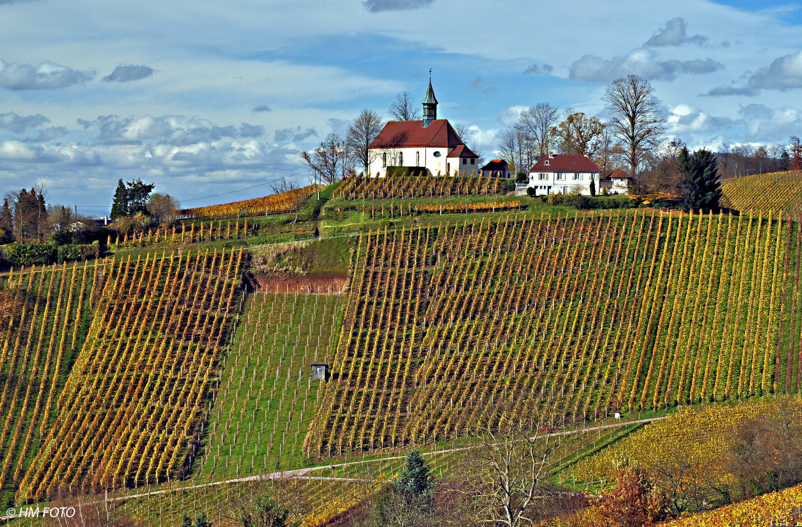 Spätherbst im Weinberg