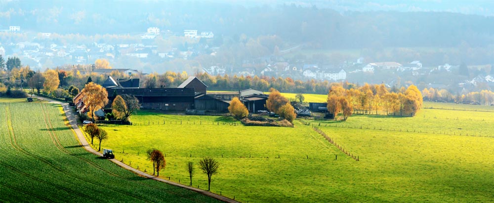 Spätherbst im Westerwald