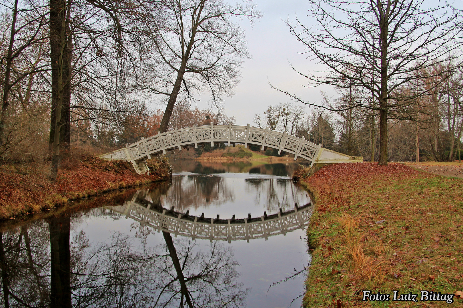 Spätherbst im Wörlitzer Park