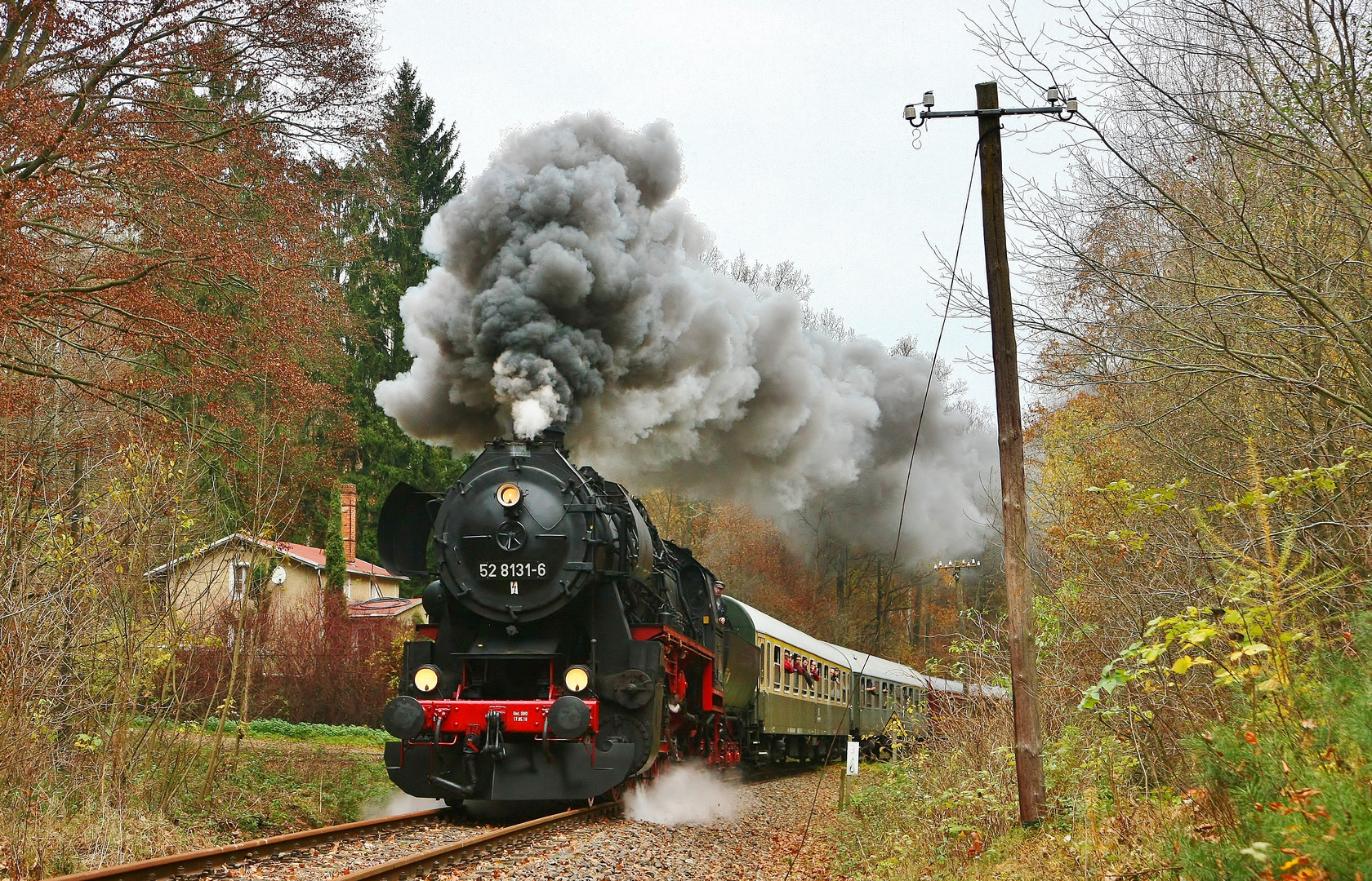 Spätherbst im Zellwald