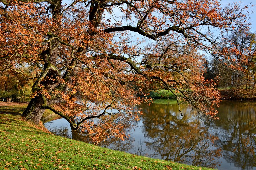 Spätherbst-Impressionen