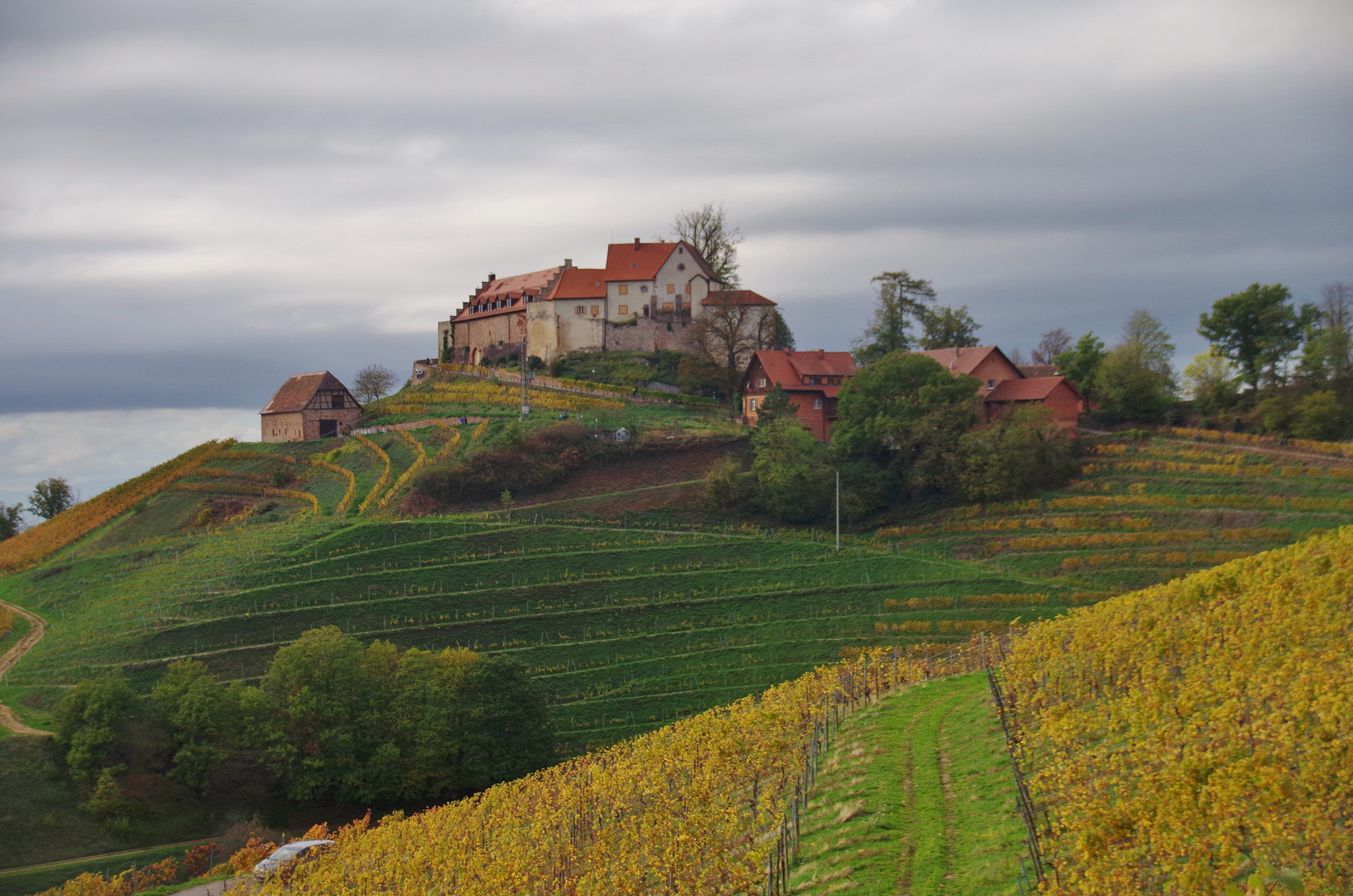 Spätherbst in den Durbacher Weinbergen