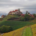 Spätherbst in den Durbacher Weinbergen