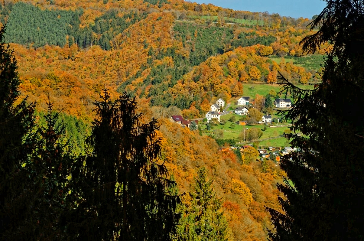 Spätherbst in der Eifel