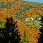 Spätherbst in der Eifel