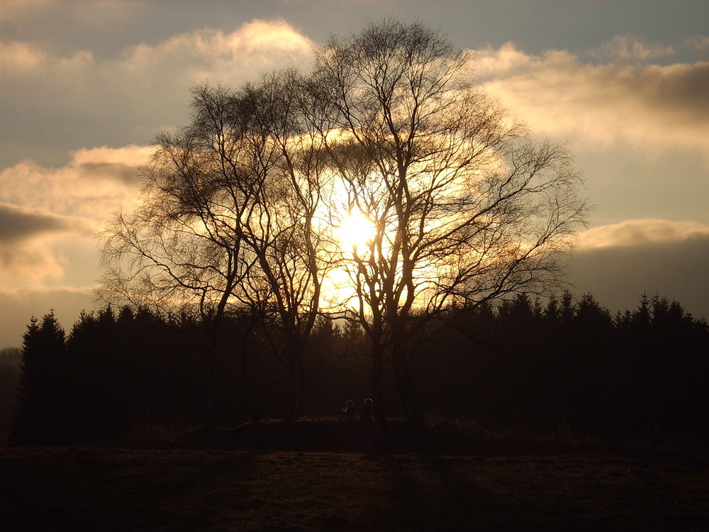 Spätherbst in der Eifel