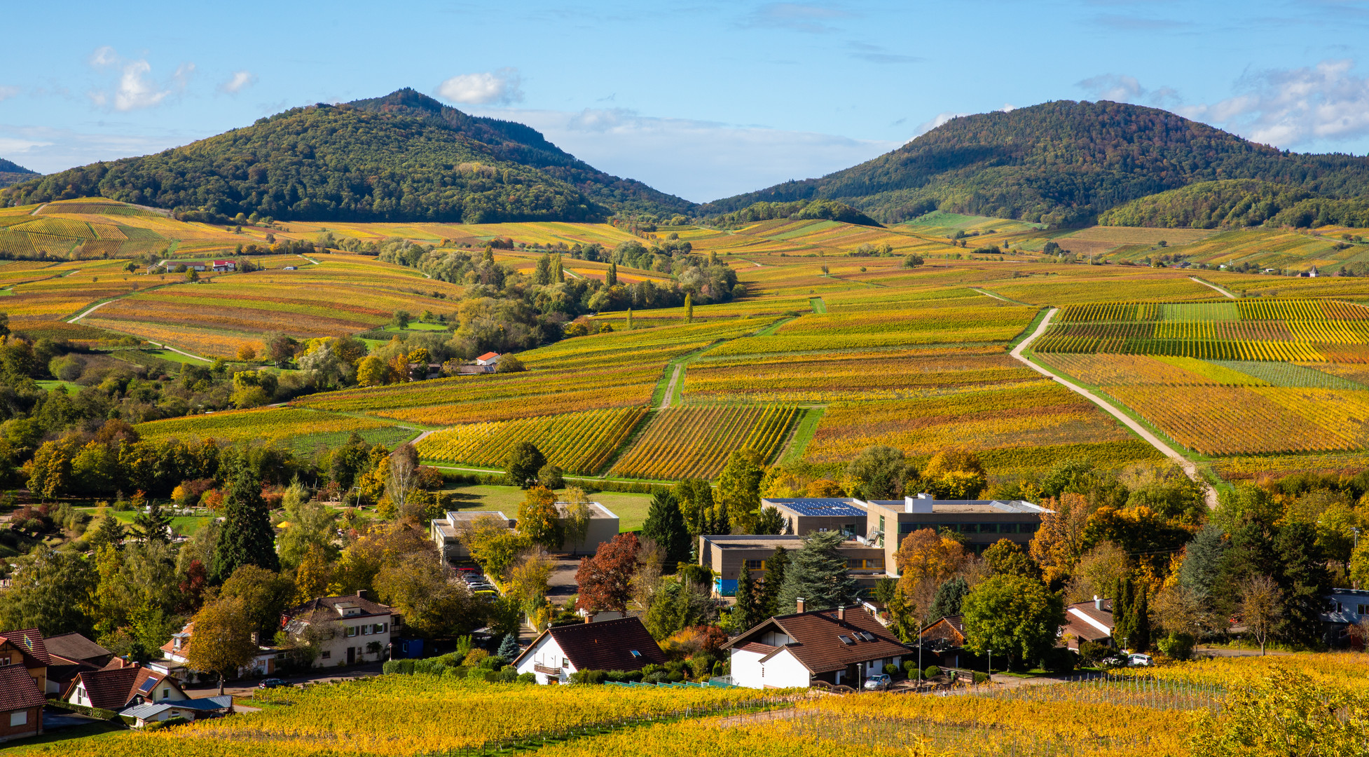 Spätherbst in der Pfalz