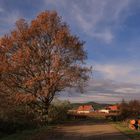 Spätherbst in der Pfalz