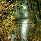 Spätherbst in der Südheide. 