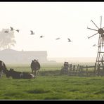 Spätherbst in Holland