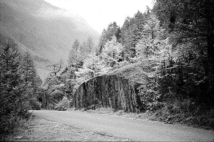 Spätherbst in Südtirol