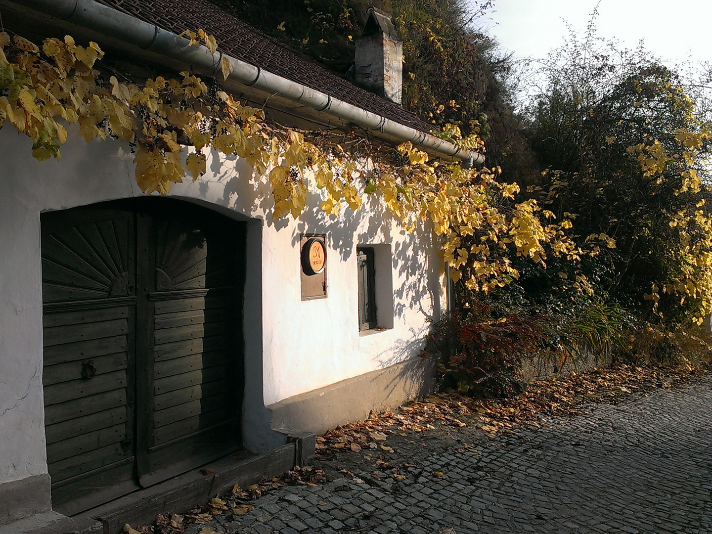 Spätherbst Kellergasse in Rohrendorf bei Krems, Niederösterreich