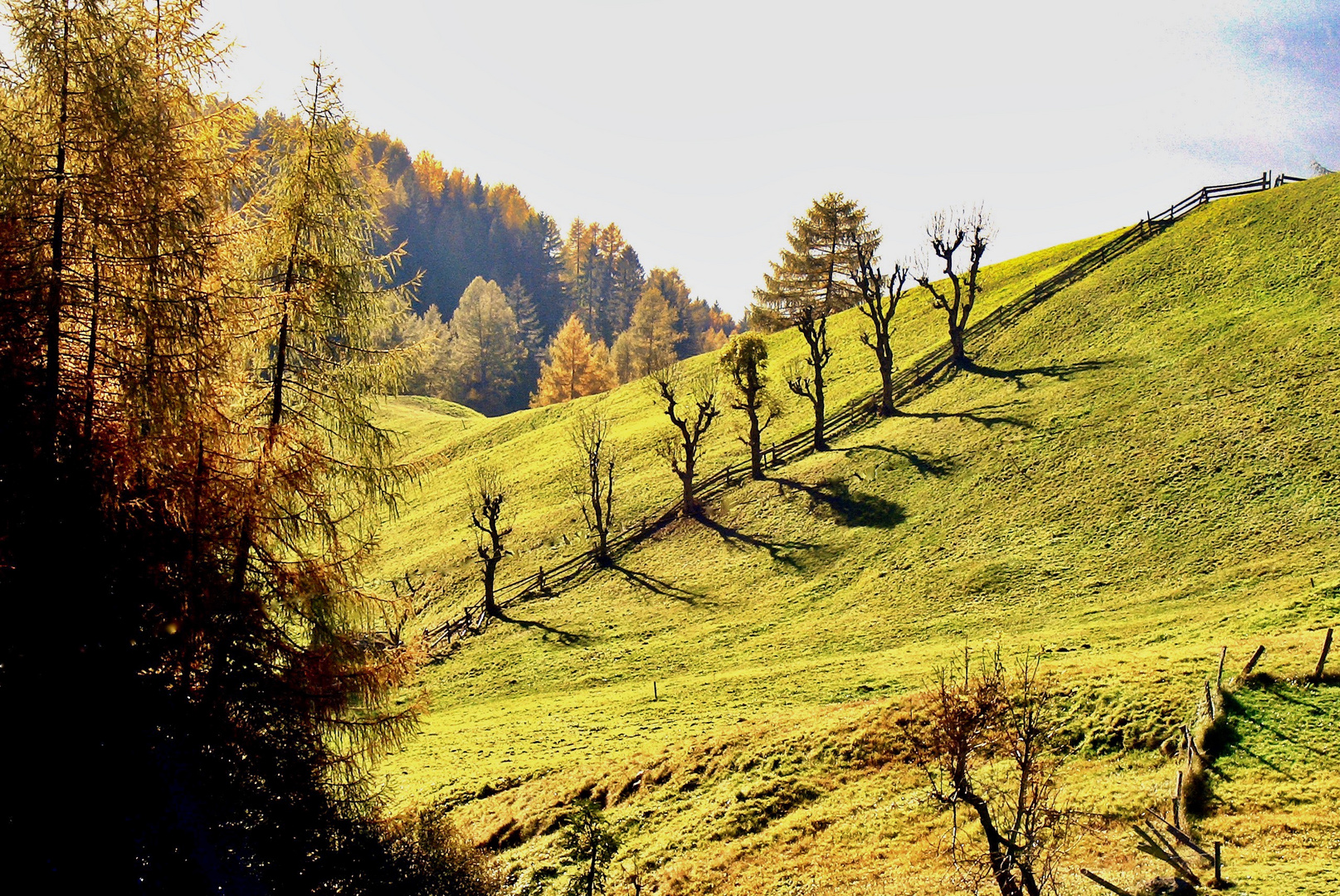 Spätherbst Meran